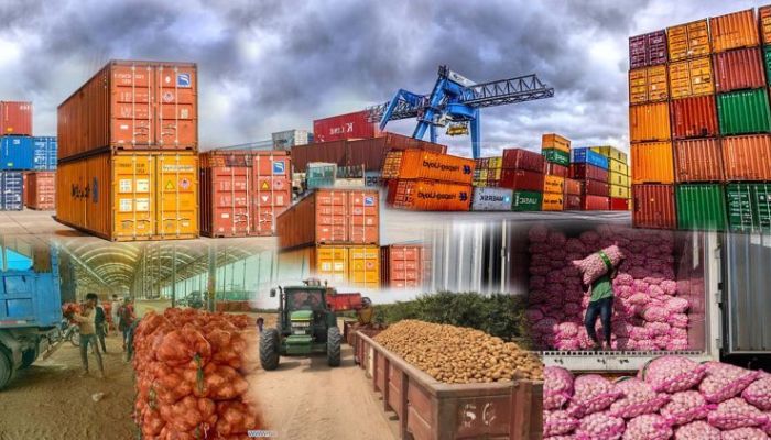 Malaysia, Colombia offer export lessons for Nigeria – Businessday NG