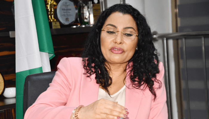 Poor revenue undermining efforts to ease debt servicing strain – Minister – Businessday NG